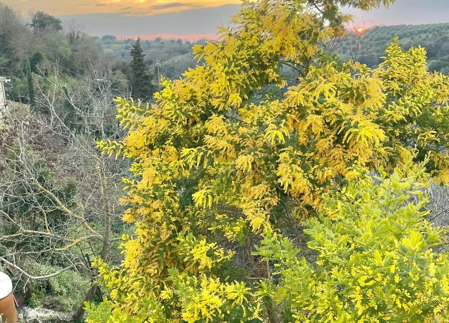 Ghigo La Locanda Di Torquato Montorgiali