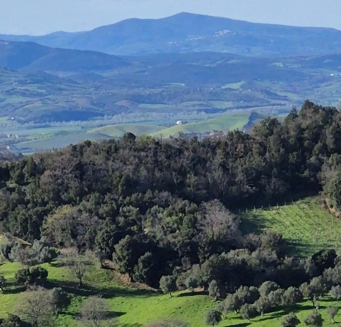 Ghigo La Locanda Di Torquato Montorgiali Italia