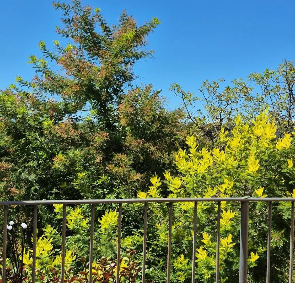 Ghigo La Locanda Di Torquato Montorgiali